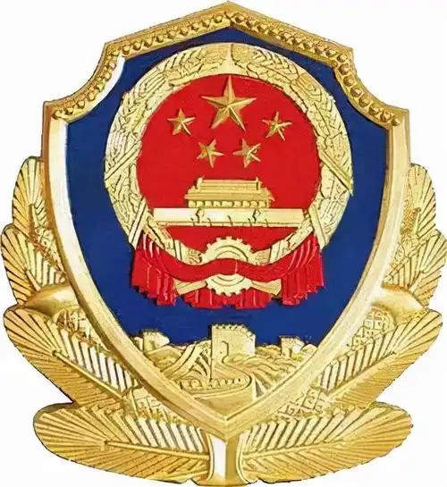 手机遗失电动车筐内被盗洛宁公安民警快速破案