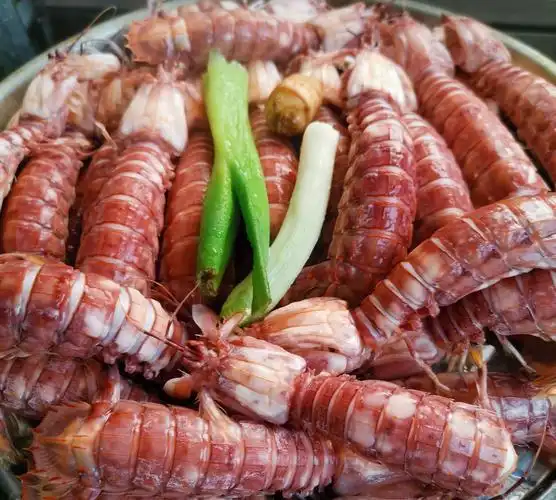 春季食用皮皮虾