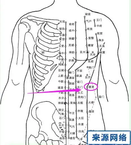 关元艾灸功效与作用(艾灸关元的基本介绍,腹部是最容易囤积脂肪)
