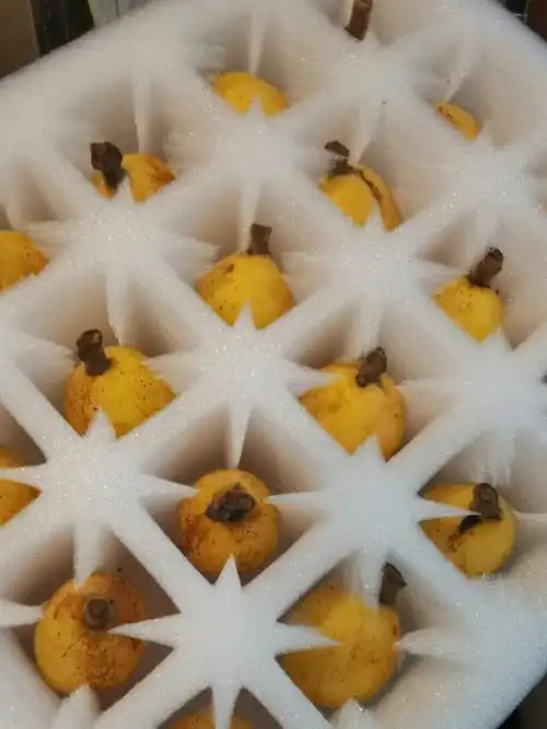 白玉枇杷  #兰溪穆坞枇杷