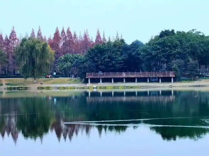 冬天的成都升仙湖景色-营山论坛-麻辣社区 四川第一网络社区 你的言论
