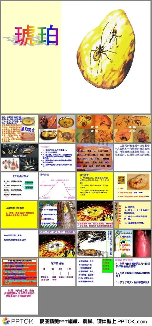是琥珀的ppt下载,主要介绍了琥珀简介;故事发生的时间;琥珀的形成过程