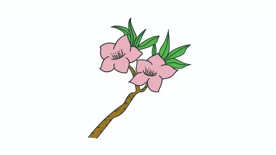 桃花简笔画怎么画 桃花简笔画步骤 中级简笔画教程-第1张