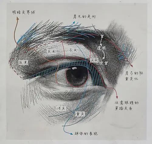 素描五官-眼睛