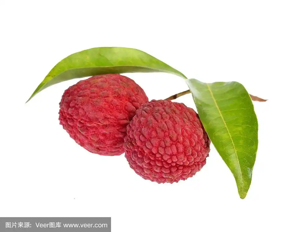 新鲜的荔枝,叶子孤立在白色的背景上