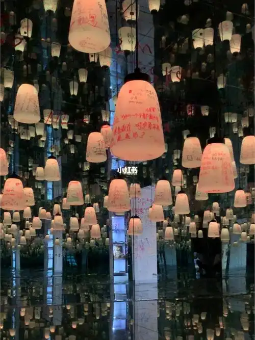 上海超治愈的失恋博物馆网红光影打卡地