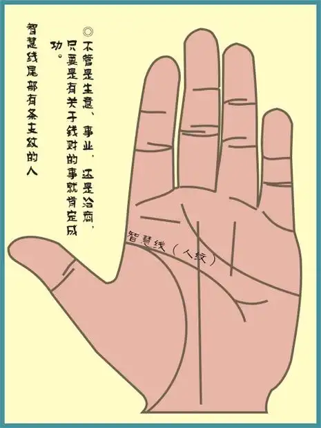 智慧线有尾叉好不好