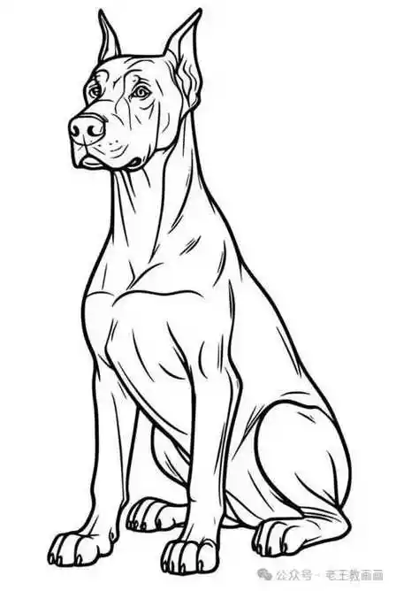 25张动物手绘线稿,临摹学画