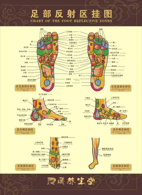 海报印制展板写真喷绘贴纸足部穴位反射区挂图写真