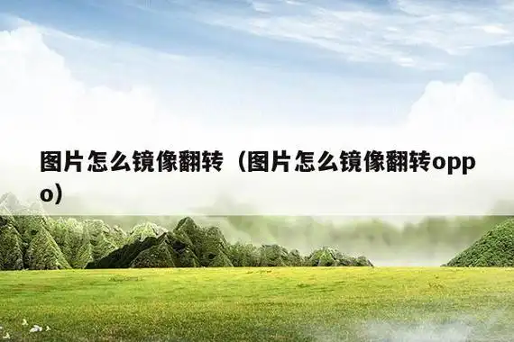 相册镜像翻转怎么弄