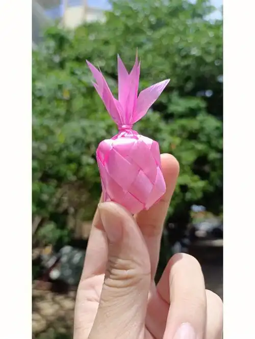 阳光下的菠萝是彩色的