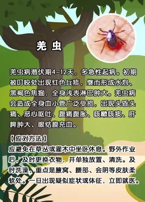 一家3人被这种虫咬,竟致2人死亡!带娃出门一定要注意!