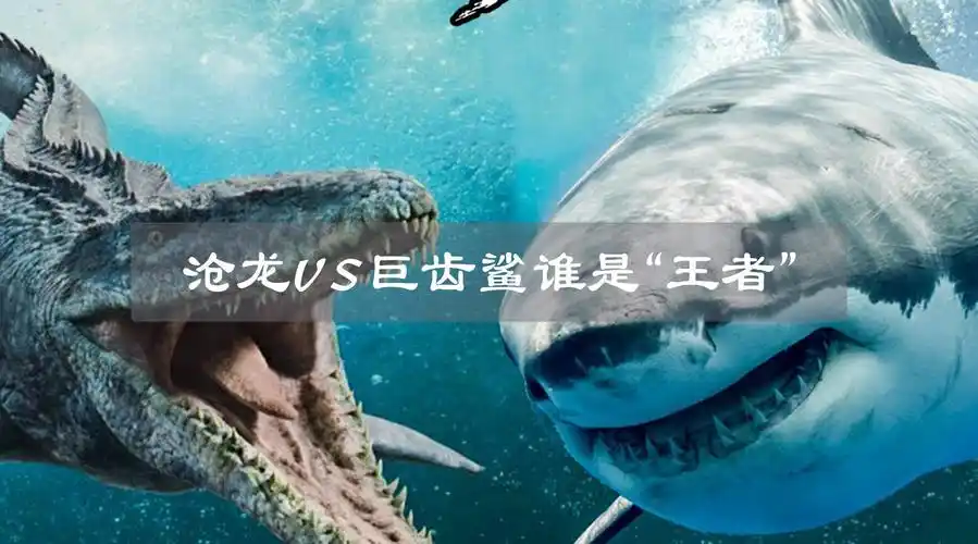 史前海洋可怕生物巨齿鲨和沧龙,若正面交锋,谁是最后的王者?