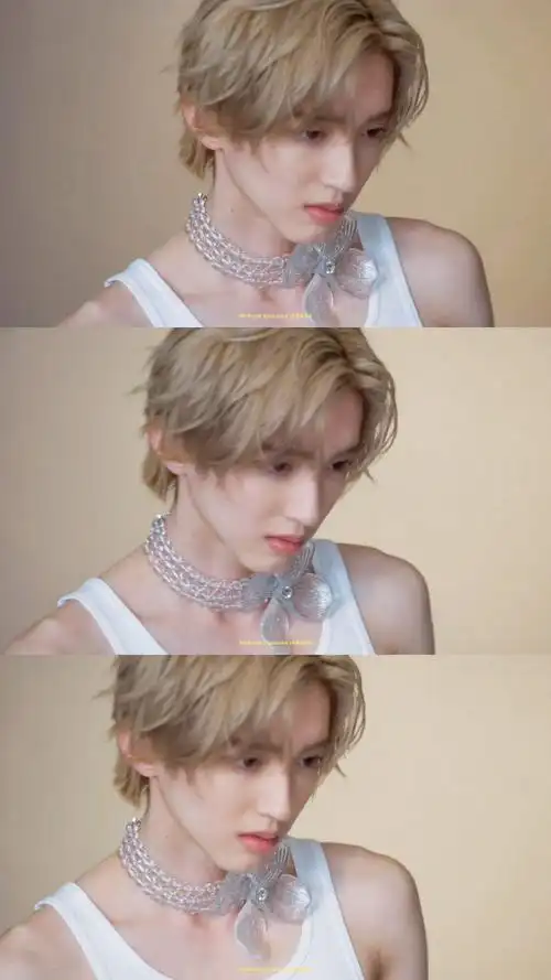 道枝骏佑##道枝骏佑金发冷感封面