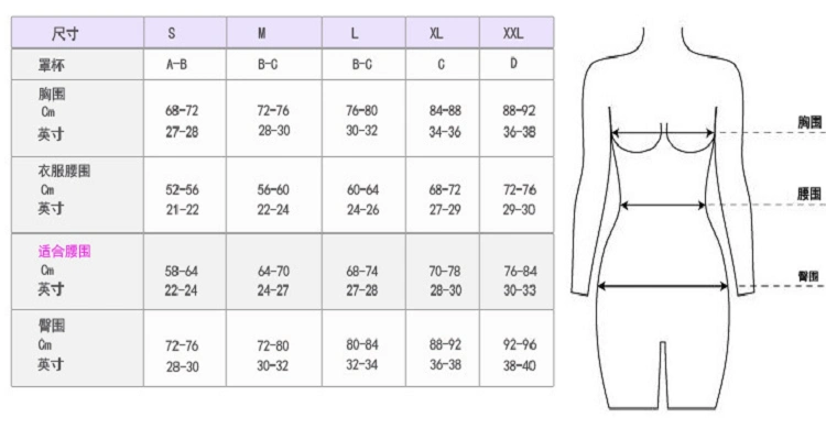 胸部罩杯尺码对照表