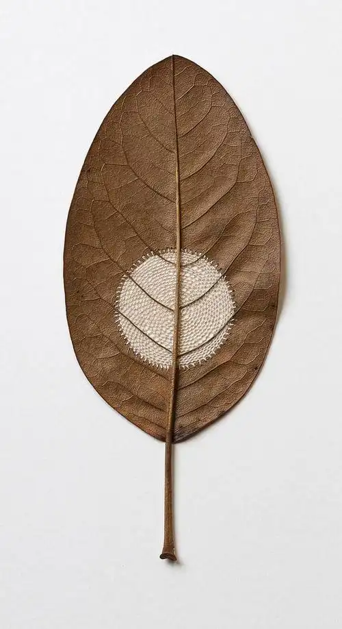 【 钩针编织树叶】susanna bauer 是一位德国艺术家,在自己的收集到的