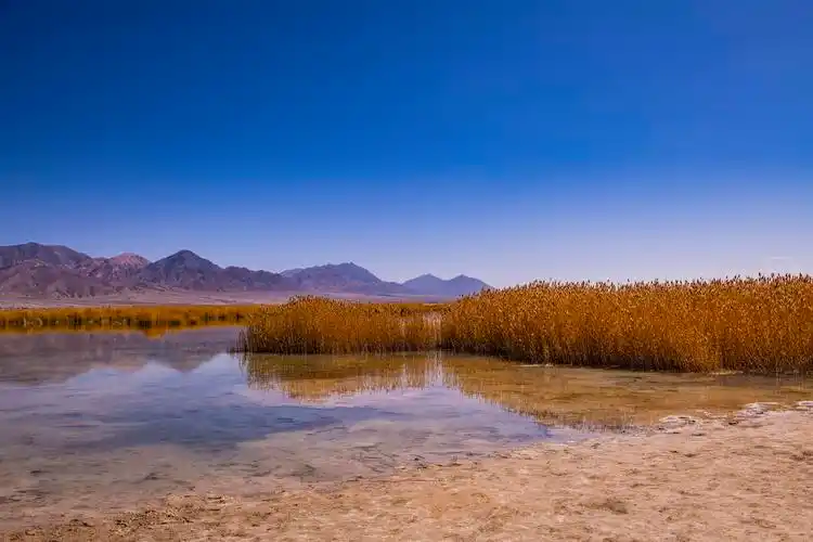 2020年国庆长假青海翡翠湖摄影专辑100张