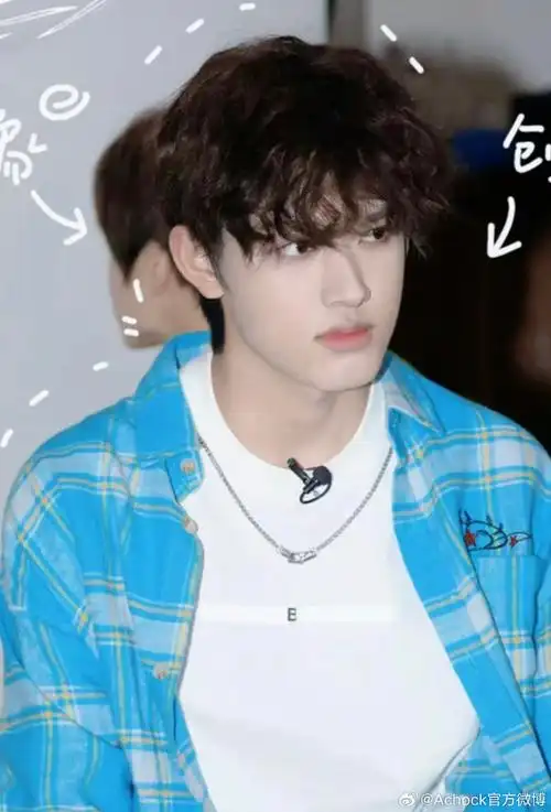 家族-张极宝贝上身我们的格子衬衫蓝色夏日清爽少年感穿搭立马get到了