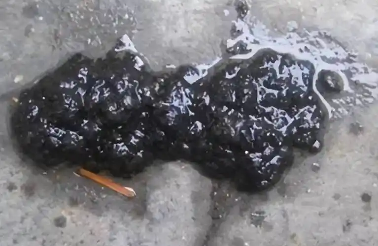 鸡拉黑色稀便怎么治疗?本文教你好方法_问题_粪便_进行