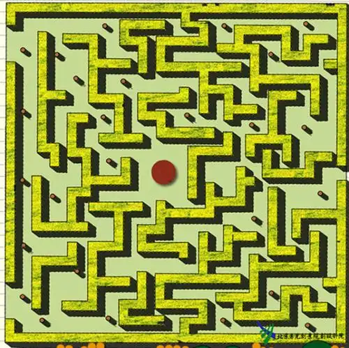 主题植物迷宫如何打造?