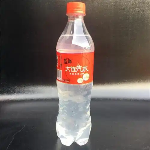 蓝岸大连老汽水无糖果味饮料560ml20瓶6口味全多省桔子