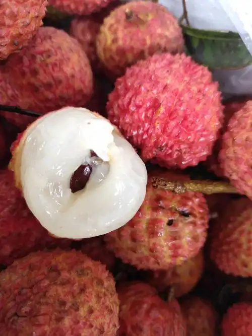 【全国包邮】海南桂味荔枝 口感嫩滑 果肉白润如玉 汁水甜到心头 精挑