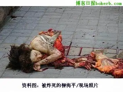 新词--犬妇犬夫(狗男女图)