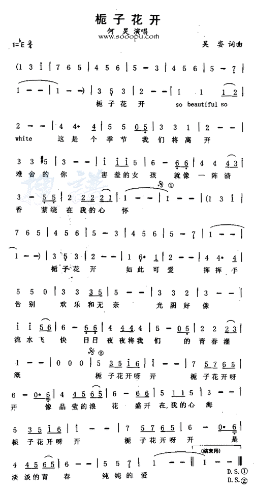 桅子花开 何炅 歌谱 简谱