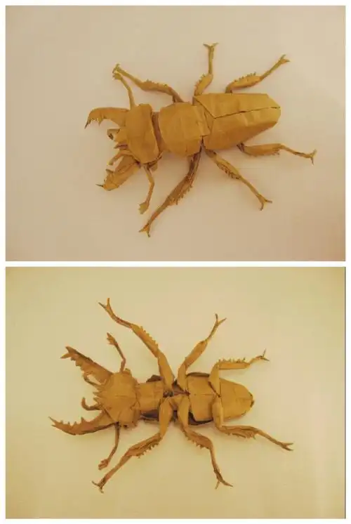 日本折纸爱好者今井设计折制的深山锹形虫,宽大的头部,前后足胫节上的