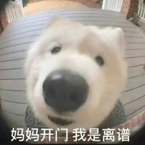 吃了个迪奥的空心大汤团就离谱