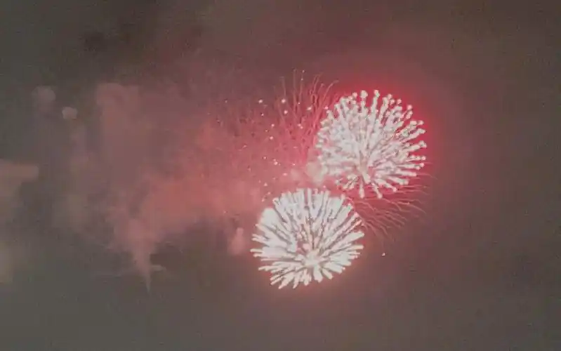 东迪海洋万圣节特别版大呲花