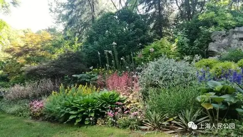 讲堂招募人民公园之花境的景观布置