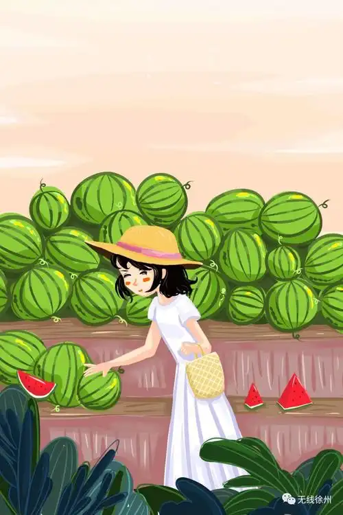 这个夏天,宅在徐州|冰糕|西瓜|徐州_新浪新闻