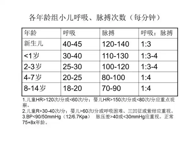 各年龄组小儿呼吸脉搏次数