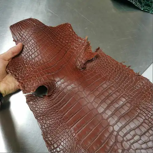 真鳄鱼皮
