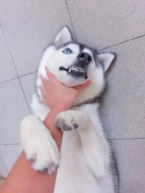 在自我厌恶和嫌弃中不断绝望到最深的谷底