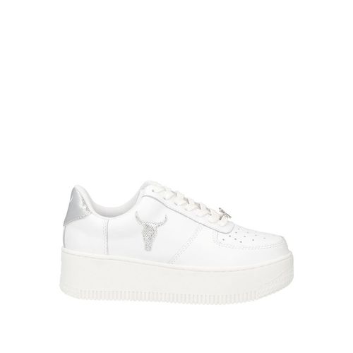 windsor smith 运动鞋女