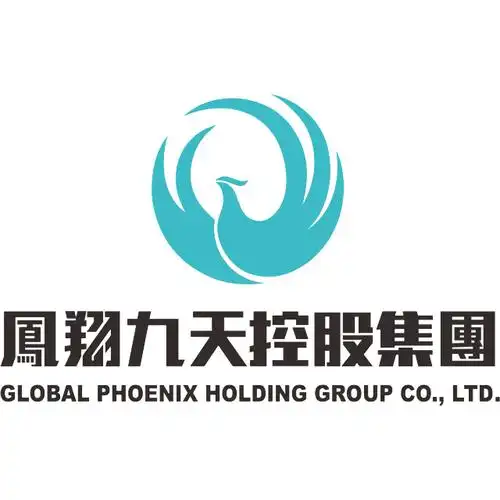 广东凤翔九天控股集团有限公司logo