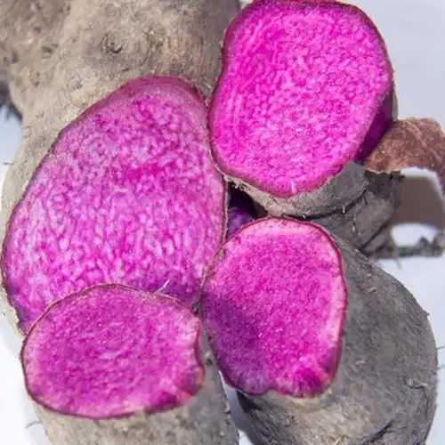 赛卡伊新鲜现挖紫山药大薯毛薯脚板薯当季紫玉淮山江西农家蔬菜5