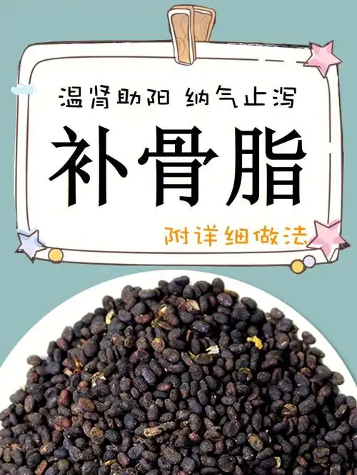 盐补骨脂的功效与作用及禁忌_中药补骨脂的功效与作用_补骨脂的功效与