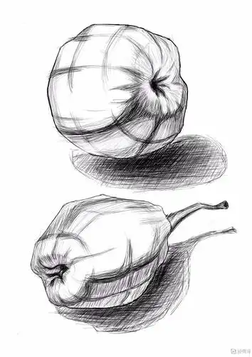 水果临摹素描静物绘制训练