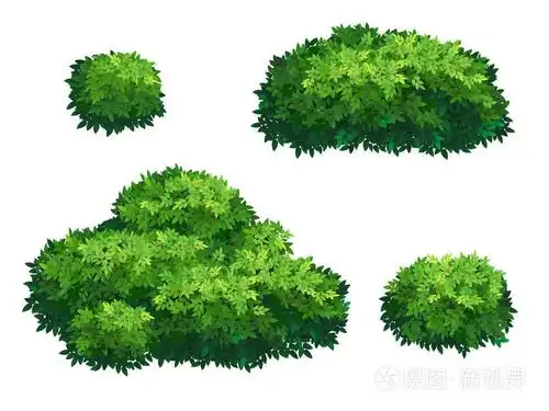 装饰公园,花园或绿色围栏的观赏植物灌木. 灌木丛的灌木丛.