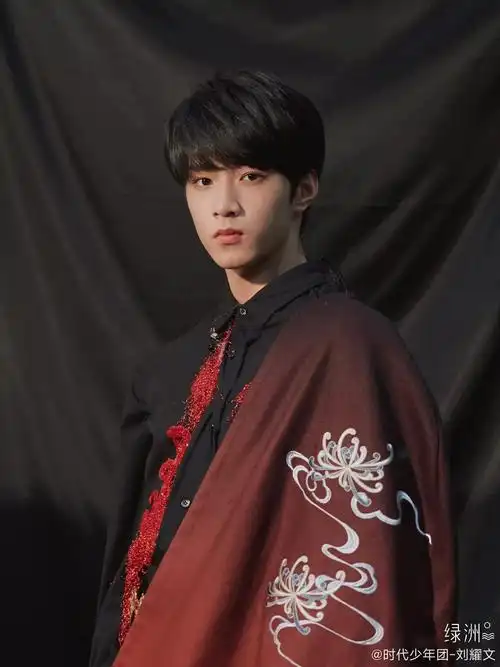 时代少年团—刘耀文个人资料