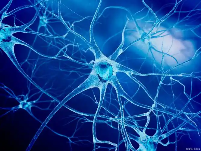 dnr脑神经修复介入疗法治疗有哪五步?_患者_效果_康复期