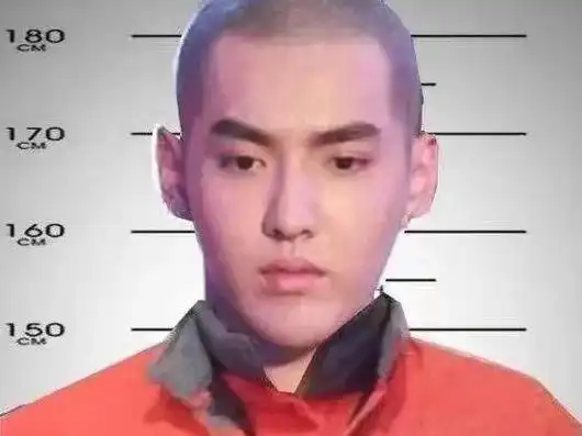 今晚吴亦凡要失眠了,十三年的牢狱之灾,出来后小鲜肉变中年大叔