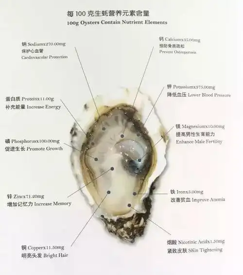 【品味西方】在法国,只有带r的月份适合吃生蚝,现在就开始了!