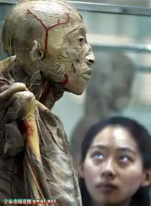 中国竟然有这种单位记者实拍大连尸体加工厂