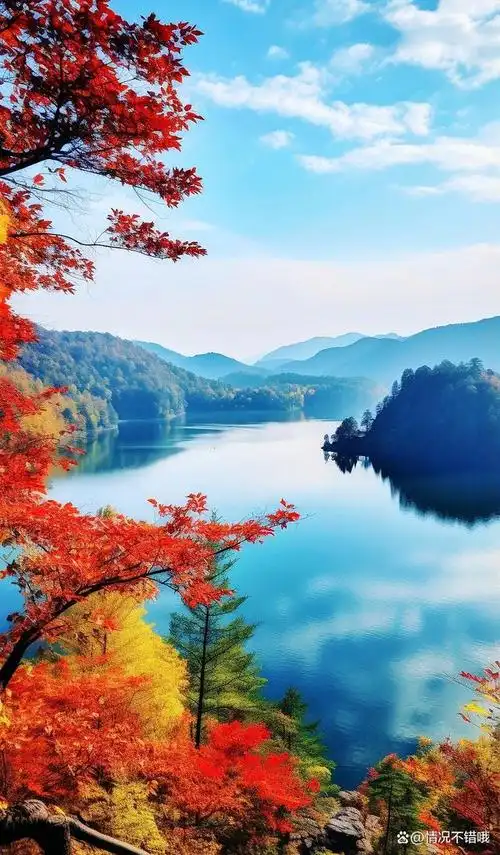 秋天,这个金色的季节,如一位沉默而慷慨的画家,用她无限的魅力点亮了