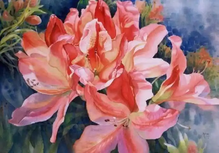 加拿大女画家marney ward水彩花卉欣赏