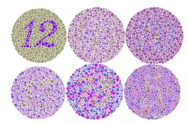 红绿色弱可以考驾照吗色弱训练36张图片